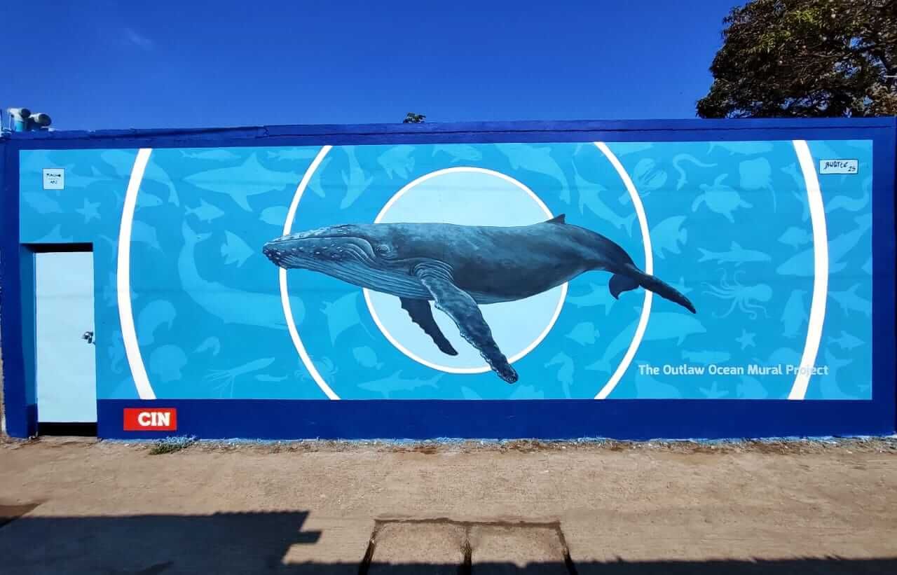 Ecos del abismo by Rachid Reyes Gutiérrez